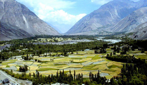 Picture for category CHITRAL